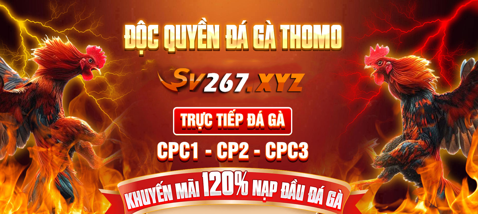banner-sv267-xyz